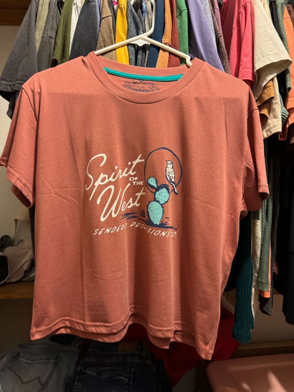 Spirit of the West Graphic Tee - Rust with Turquoise Print